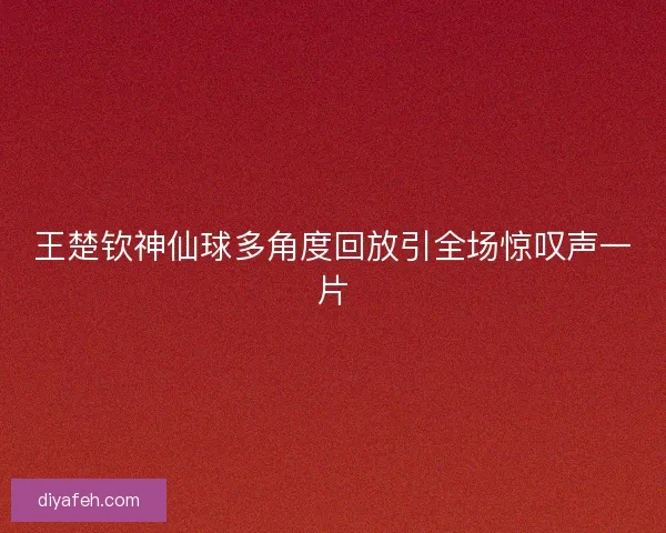王楚钦神仙球多角度回放引全场惊叹声一片